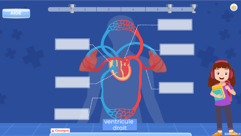 activites-en-ligne-pour-apprendre-les-sciences-768x433